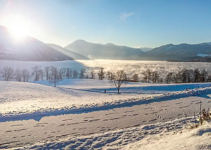 Alpenhof 4*